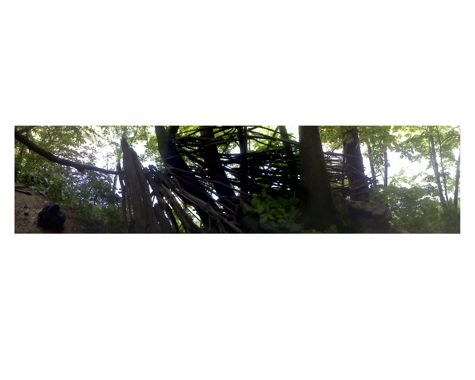 A dense shelter-like structure woven from branches among trees.
