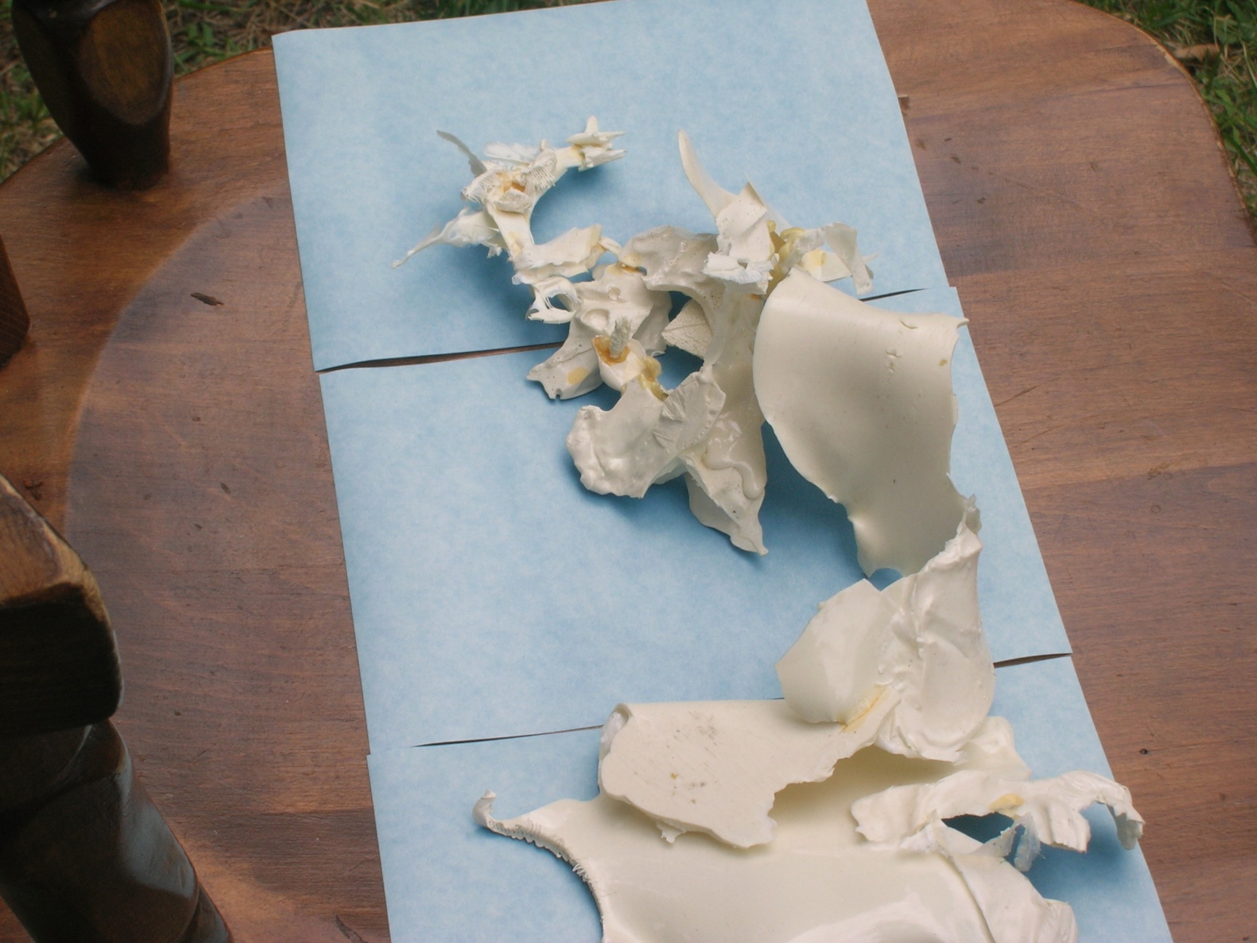 Several irregular white and translucent cast-plastic forms arranged across blue paper on a wooden surface.